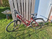 Damen Fahrrad Bayern - Stetten Vorschau