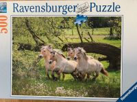 Ravensburger Puzzle Pferde  500 Teile Baden-Württemberg - Pforzheim Vorschau