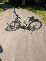 Mountainbike 26 Zoll Nordfriesland - Klanxbüll Vorschau