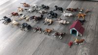 Schleich Pferde Spielzeug Figuren Sammlung Sachsen - Lichtenstein Vorschau