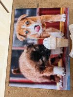 Kinder puzzel Hunde Motiv Bielefeld - Dornberg Vorschau