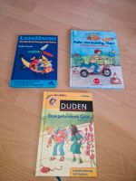 Leseanfänger, Erstleser Bücher Schule,  Duden Verkehrsgeschichten Schleswig-Holstein - Rendsburg Vorschau