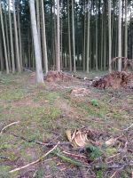 Waldgrundstück Bayern - Burgsalach Vorschau