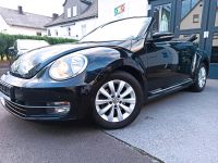 VW Beetle 2,0 TDI Cabrio Design Navi SHZG PDC Windschott Hessen - Ehringshausen Vorschau