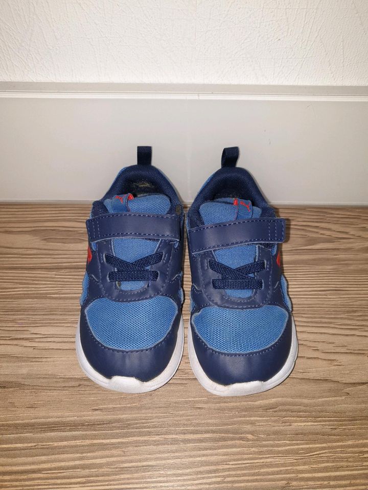 Puma Sneaker Kinder Jungen 24 in Arnsberg