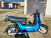 Simson SR 50/1  mit 12V Unterbrecherzündung Sachsen - Johanngeorgenstadt Vorschau