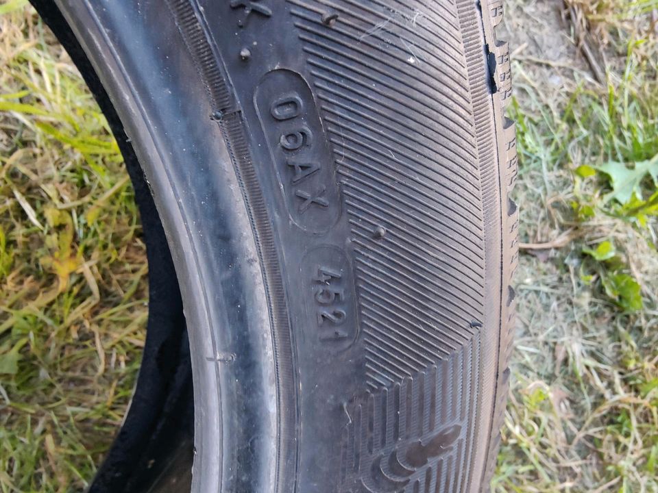 Michelin Cross Climate 195/ 55R16 in Henstedt-Ulzburg