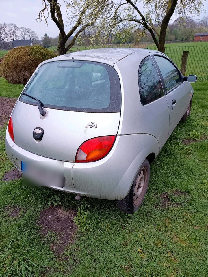 Ford Ka (Baujahr 2006) in Damme