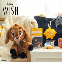 Scentsy Wish Kollektion Schleswig-Holstein - Kiel Vorschau