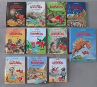 Der kleine Drache Kokosnuss - 11 Bücher Thüringen - Zeulenroda Vorschau