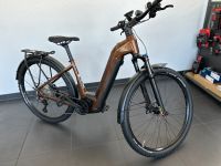 Fokus AVENTURA² 6.8 PERFORMANCE CX E-ANTRIEB Güstrow - Landkreis - Teterow Vorschau