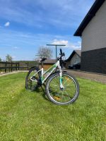 BULLS Sharptail 1 26 Zoll *41cm Damen/Jugend  Mountainbike ✅ Nordrhein-Westfalen - Nideggen / Düren Vorschau