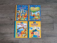 Lernbuch Kinder Winnie Puuh Farben Gegensätze Rheinland-Pfalz - Gevenich Eifel Vorschau