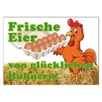 Frische Eier 10 Stück 2,50€ Mecklenburg-Vorpommern - Groß Luckow Vorschau