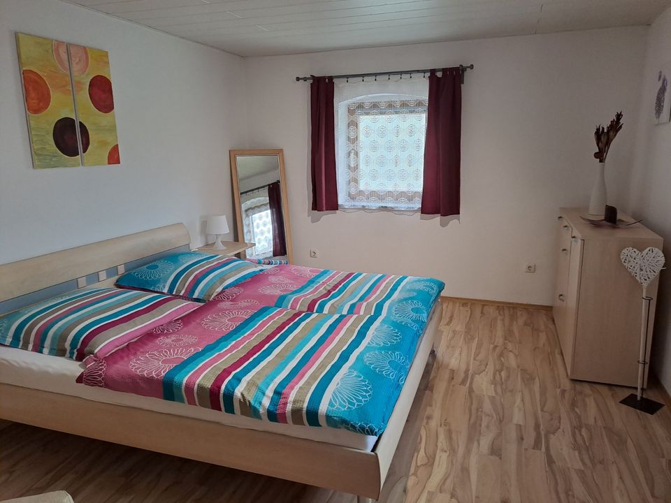 Ferienwohnung 1 zentrale Lage, direkt an der blauen Donau in Niederalteich