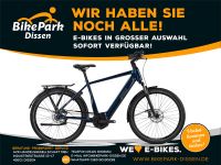 Green´s Elektro-Fahrrad Carlton F750 Bosch Perf. i750Wh 5-Gang Na Niedersachsen - Dissen am Teutoburger Wald Vorschau