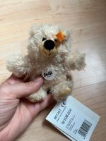 Steiff Bär Teddy Teddybär Charly Jubiläumsteddybär Niedersachsen - Freden Vorschau