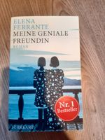 Roman „Meine geniale Freundin“ (Band 1/4), Elena Ferrante Schleswig-Holstein - Roseburg Vorschau