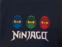 Jersey Panel Stoff Lego Ninjago ca.B48xL51 cm 9 Euro Duisburg - Hamborn Vorschau