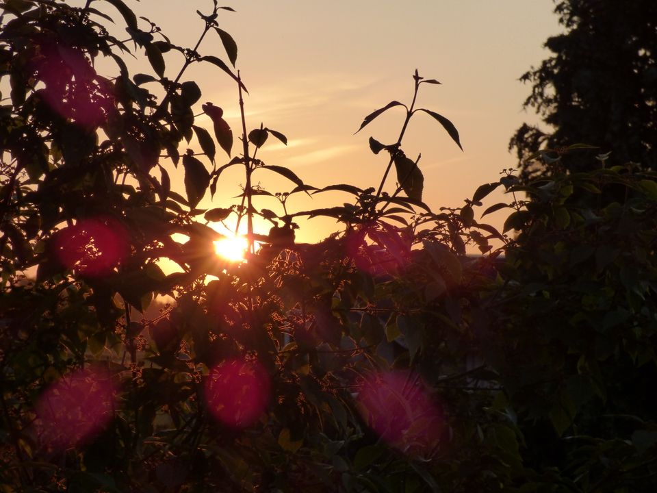 Kleine Perle mit Weitblick! in Leubsdorf