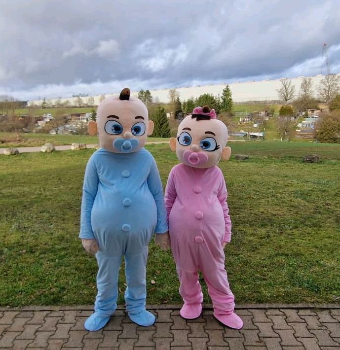 Maskottchen Babys/Kostüme  Gender Reveal Party.Verleih nur 35 €. in Ehingen (Donau)