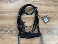 QHP Gebisslose Trense Sterne schwarz/blau Minishetty-Pony NEU Hannover - Mitte Vorschau