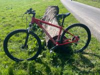 Mountainbike_Cannondale_Fahrrad: Hessen - Raunheim Vorschau