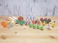 Angry Birds mit Eierschalen Sammlung Bonn - Beuel Vorschau