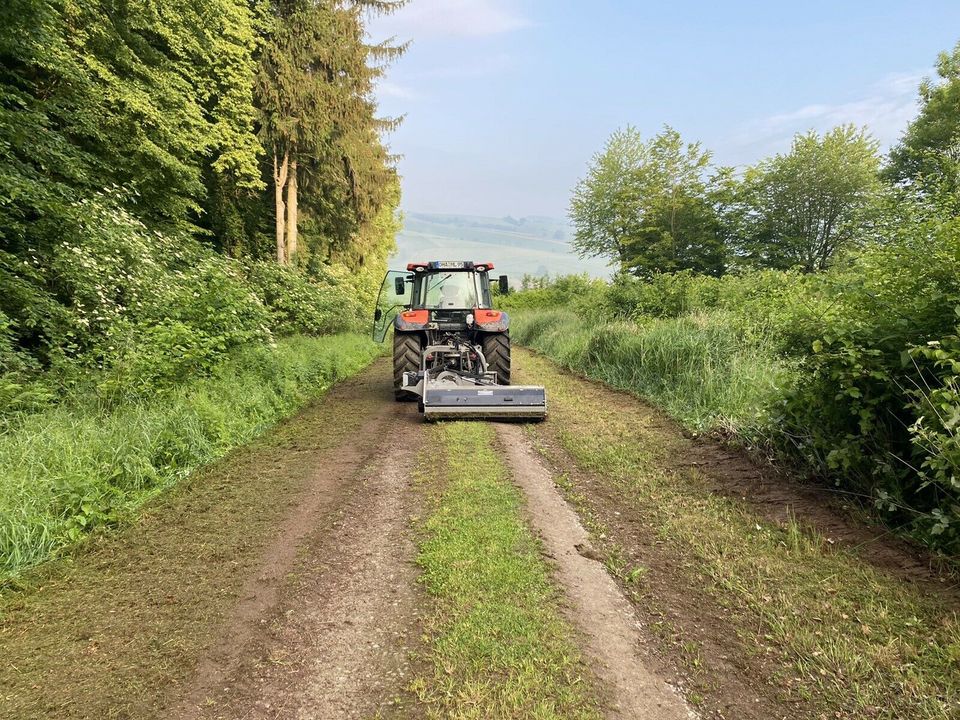 Baumfällung Baum fällen Pflasterarbeiten Wurzel entfernen in Osterode am Harz