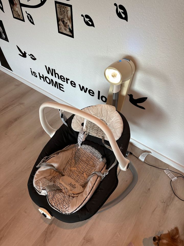Baby Schaukel in Bühlertal