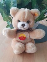 Steiff Teddybär "Kiddi", mit Piepstimme, 18 cm, selten, NEU Nordrhein-Westfalen - Rösrath Vorschau