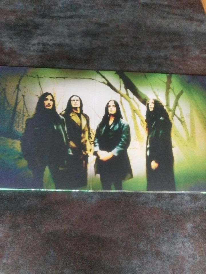 Type o Negative Vinyl Konvolut in Wattenbek