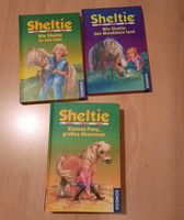 SHELTIE, 5 Pony-Geschichten, Hardcover, Kosmos Niedersachsen - Göttingen Vorschau