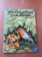 Tolles Tierbuch Wie kleine Tiere groß werden Kr. München - Planegg Vorschau