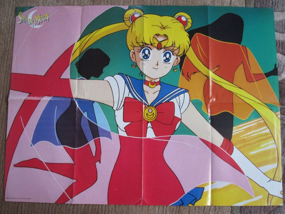 Sailor Moon Poster-Sammlung in Rehlingen-Siersburg