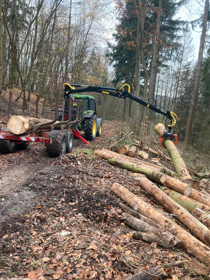 Stammholz/Brennholz Transport in Heidenrod