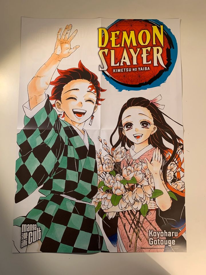 Manga Box Demon Slayer Box + 20 Limited Edition + Band 0 in Köln