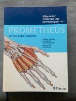 Prometheus Anatomie Atlas Baden-Württemberg - Ladenburg Vorschau