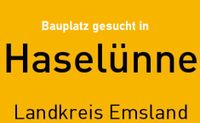 Baugrundstück in Haselünne gesucht Niedersachsen - Haselünne Vorschau