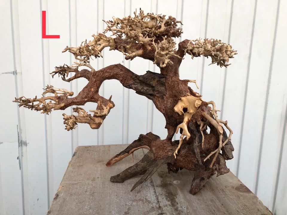 Scaping Bonsai Baum M-XL Aquarium Aquascaping Hardscape neu in Gladbeck