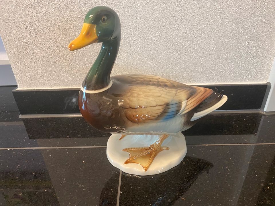Treuchtlingen Goebel | 1970-1975 Antiquitäten in - jetzt Bayern Ente ist Kunst eBay Kleinanzeigen Porzellan | mehrfarbig und kaufen Kleinanzeigen gebraucht