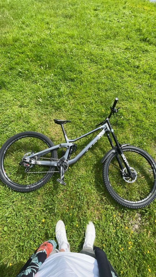 Scott Gambler Tuned Downhill (Custom) in Saale-Holzland-Kreis