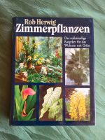 Buch Zimmerpflanzen von Rob Herwig. DIE Zimmerpflanzenbibel! Niedersachsen - Braunschweig Vorschau