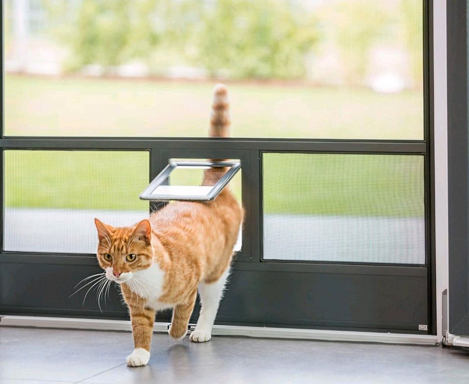 Insektenschutz für Fenster Türen Katzen Montage in Herne