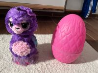 Hatchimal Wow Rheinland-Pfalz - Grumbach Vorschau