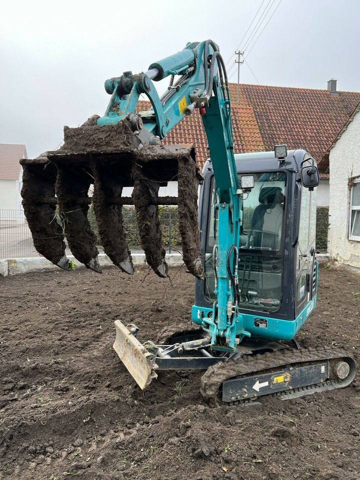 Hecken mit Wurzelenfernung in Aislingen