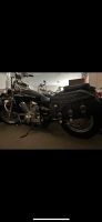 Honda Shadow VT 750C *Satteltaschen*Scheibe*2008*22tkm* Nordrhein-Westfalen - Paderborn Vorschau