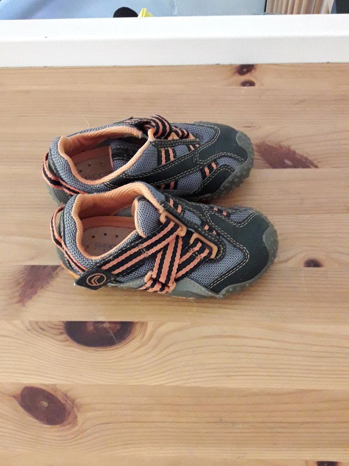 Geox 24 Sportschuhe atmungsaktiv Halbschuh blau orange in Gröbenzell