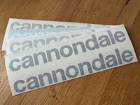 CANNONDALE Unterrohr Fahrrad Sticker Aufkleber Decal Set Schrift Niedersachsen - Wunstorf Vorschau