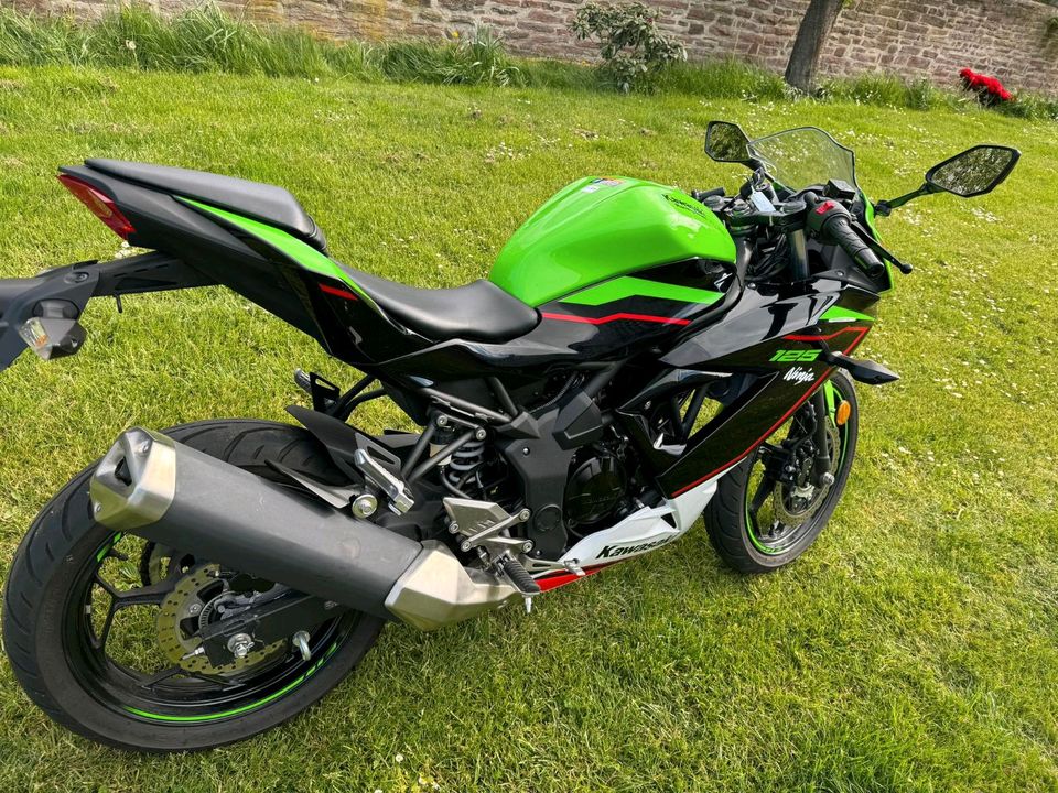 Kawasaki Ninja 125 in Rätzlingen bei Haldensleben